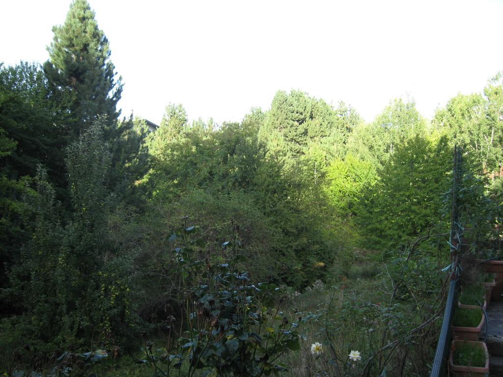 Le Tre Rose Montagna Daire Camigliatello Silano Oda fotoğraf